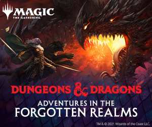 D&D: Adventures in the Forgotten Realms